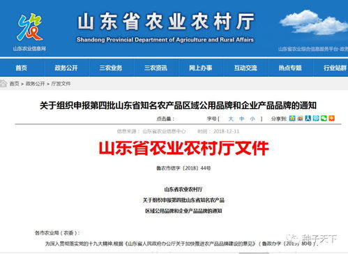 山東啟動(dòng)省級(jí)知名農(nóng)產(chǎn)品品牌申報(bào)競賽，推動(dòng)農(nóng)業(yè)品牌化發(fā)展